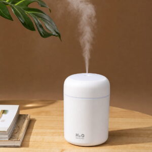 H2O Humidifier Aroma Diffuser Ultrasonic Essential Oil Diffuser